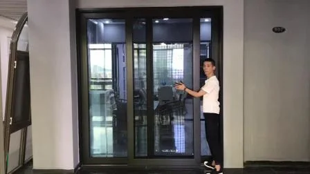 Chinese Thermal Break Lift Slide Doors Fire Rated Double Patio Doors Sliding Glass Retractable Aluminum Sliding Door with Screen